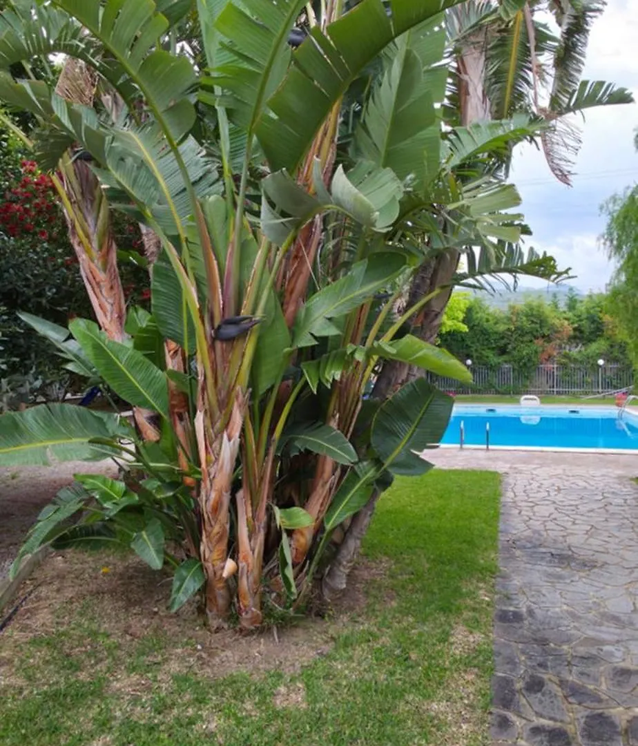 Principe By Penta Dream House Διαμέρισμα Campofelice Di Roccella
