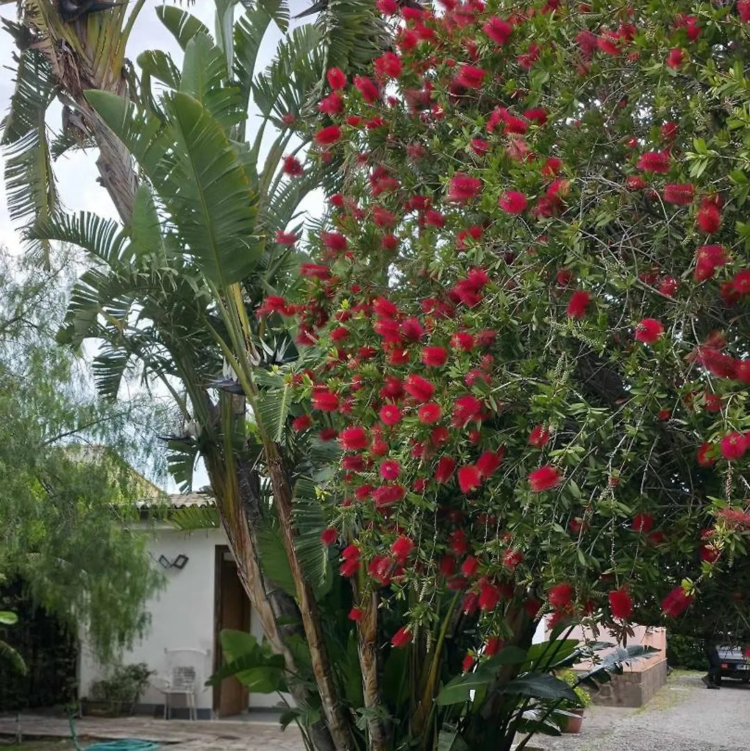 דירות קמפופליצ'ה די רוצ'לה Principe By Penta Dream House